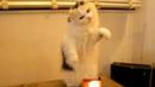 e~tlR cat plays with a teremin.jpg