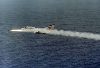 800px-F-14A_VF-1_firing_AIM-9L_1989.jpeg