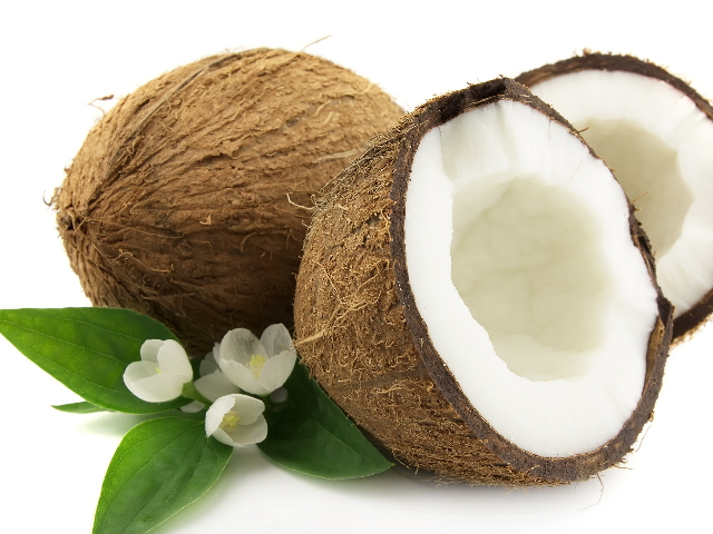coconuts01.png
