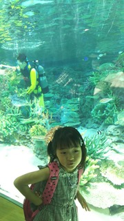 世界淡水魚園水族館