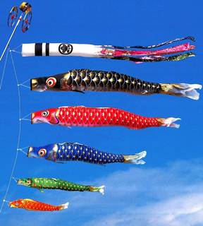 koinobori.jpg