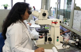 laboratory-2821207_640.jpg