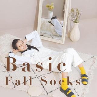 BasicFallSocks.jpg