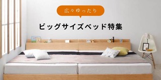 slider-banner-bigbed.jpg