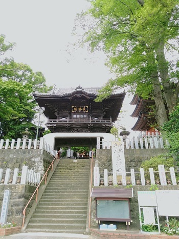 季節の楽しみ 巳の日に布施弁天へ