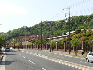 20140510_091636.jpg