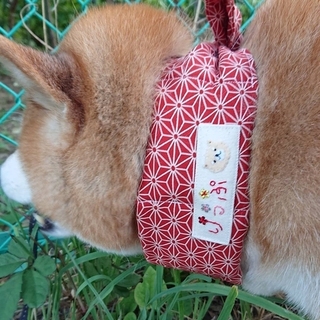 shibainu.rip-15980717348661.jpg