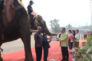 Elephants-Festival-Laos.jpg