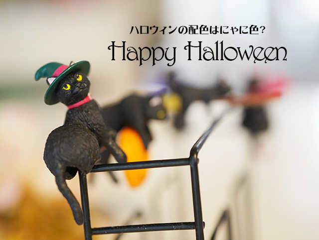 halloween_cat.jpg