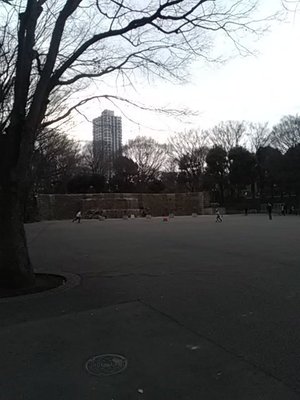 201802101556_inShinjukuPark.jpg