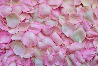 rose-petals-3194062_1280[1].jpg