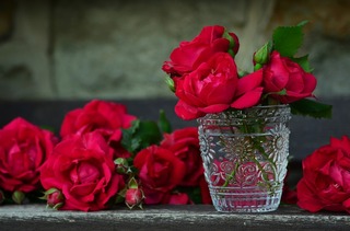 roses-821705_1280[1].jpg