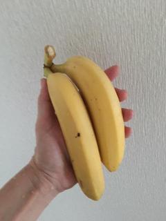 2 bananas.JPG