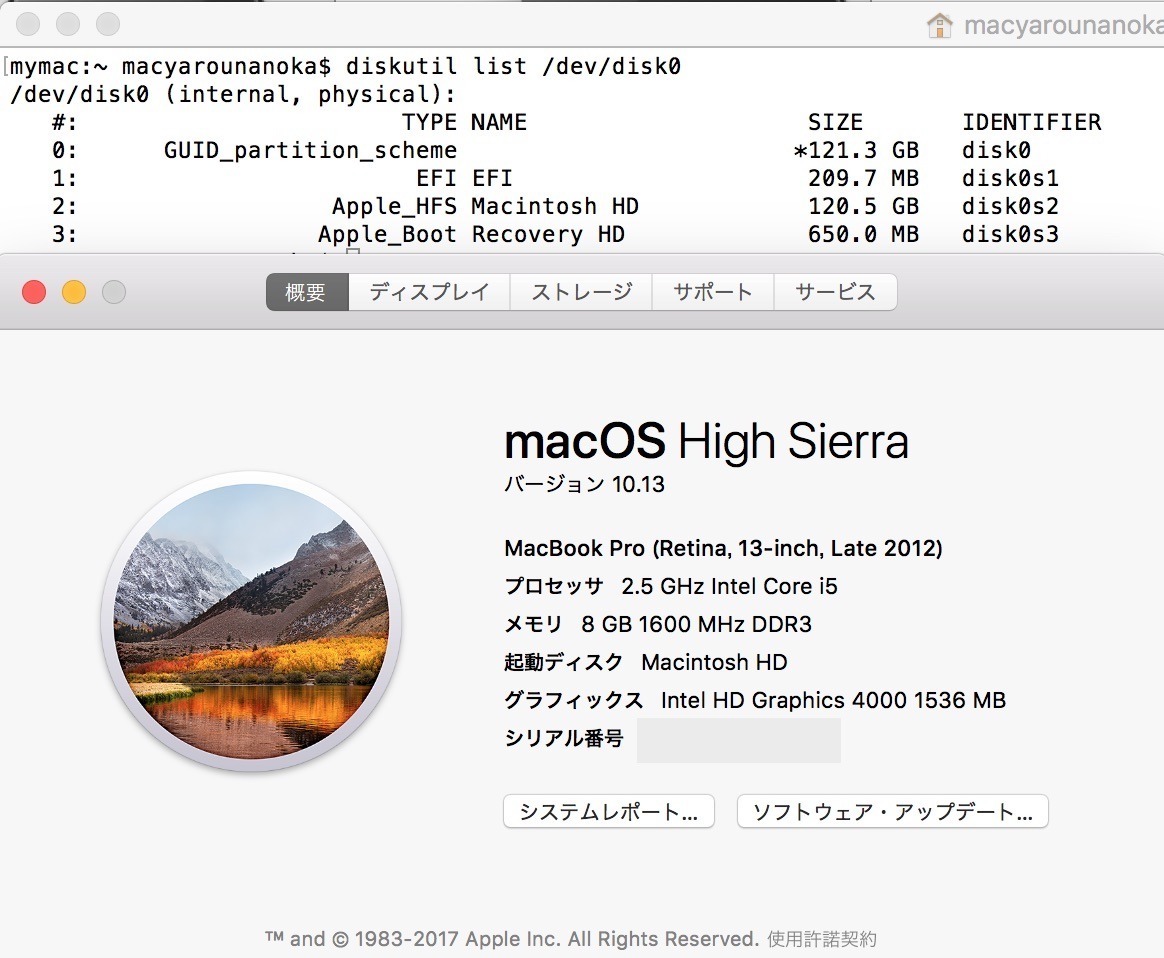 macOS High Sierra{SSD̊APFSXLbvłĂ܂؋ʐ^