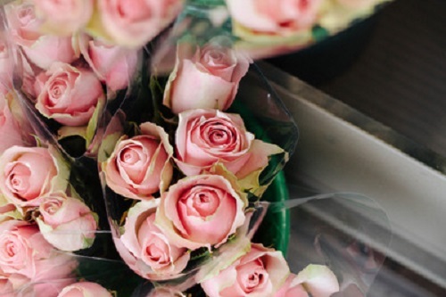 Life-of-Pix-free-stock-photos-roses-bouquet-pink-sweet-Sarah-Babineau.jpg