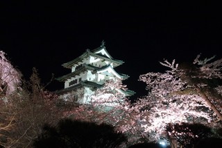 hirosakura09.jpg