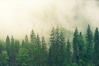 fog-3622519_640.jpg