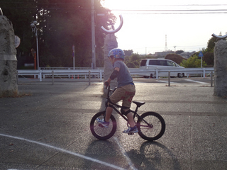 1101bmx-3.jpg