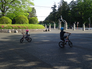 bmx160505-3.jpg