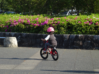 bmx160505-4.jpg