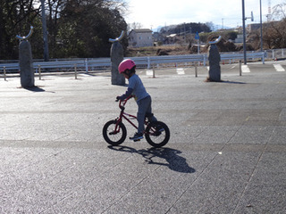 bmx4sai-2.jpg