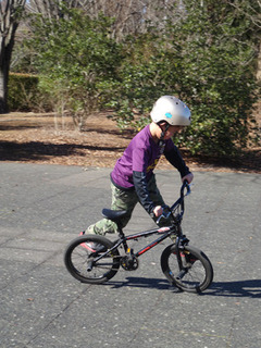 bmx9sai-1.jpg