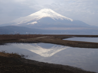 sakasa-fuji4.jpg