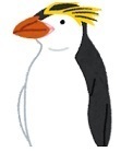 pengin.jpg