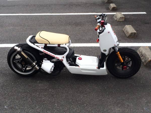 ZOOMER AF58 アンダーカウル - カウル、フェンダー、外装