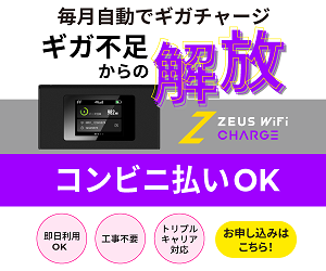 _RXpyZEUS WiFi CHARGE I[g`[Wvz202406251709589120.png