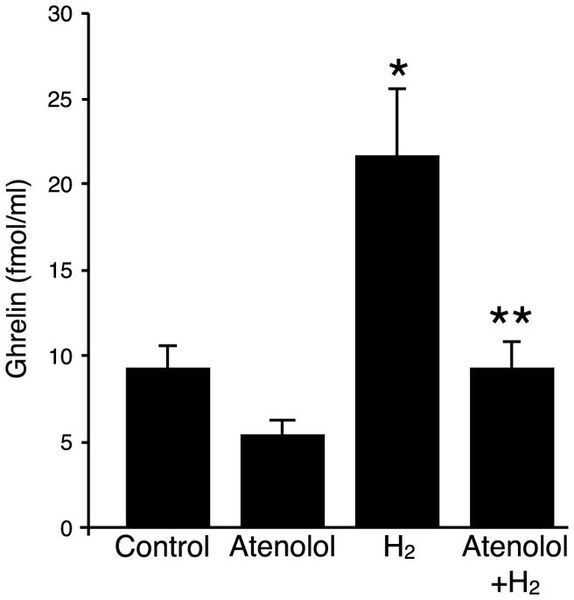 Figure 3   H2 water increases plasma ghrelin levels in a 1-adrenergic receptor-dependent manner.   srep03273-f3.jpg