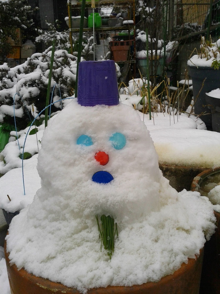 Snowman.
</a></div>


<br>
<br>


<div style=