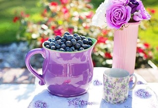 blueberries-864627_640.jpg