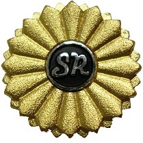 Shakaihokenroumushi_badge.jpg