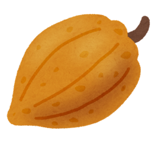 fruit_cacao_kakao.png