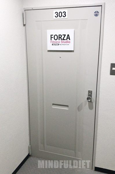 forza-3.jpg