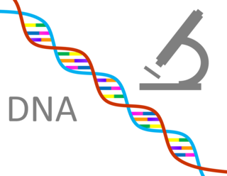 dna-1020670_1920.png