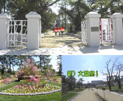 Miyakoh Botanic Garden Aoshima
