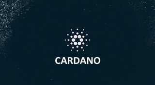 Cardano_id_79ac8310-4932-468c-9070-d32f5e45fb90_size900.jpg