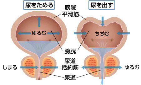 短期決戦 ゴロで乗り切る薬剤師国家試験 薬理 鎮痛薬 その１