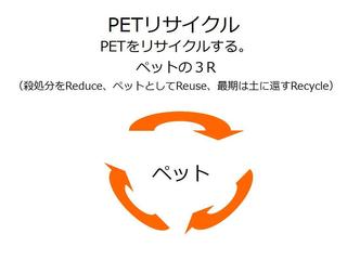 Petrecycle.jpg