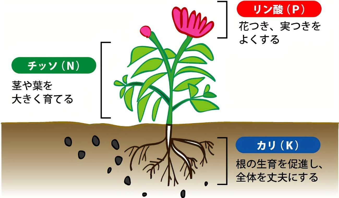 暮らしのDIY: 用土・肥料の種類と使い方