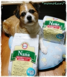 Moppy&Nana201706-6.jpg