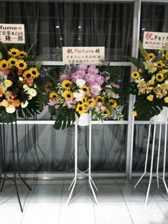flower0616_11.JPG