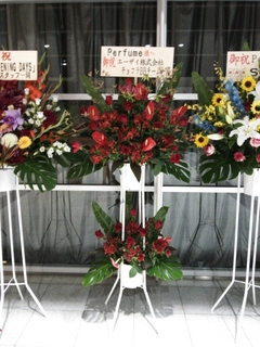 flower0616_15.JPG