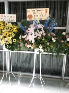 flower0616_9.JPG