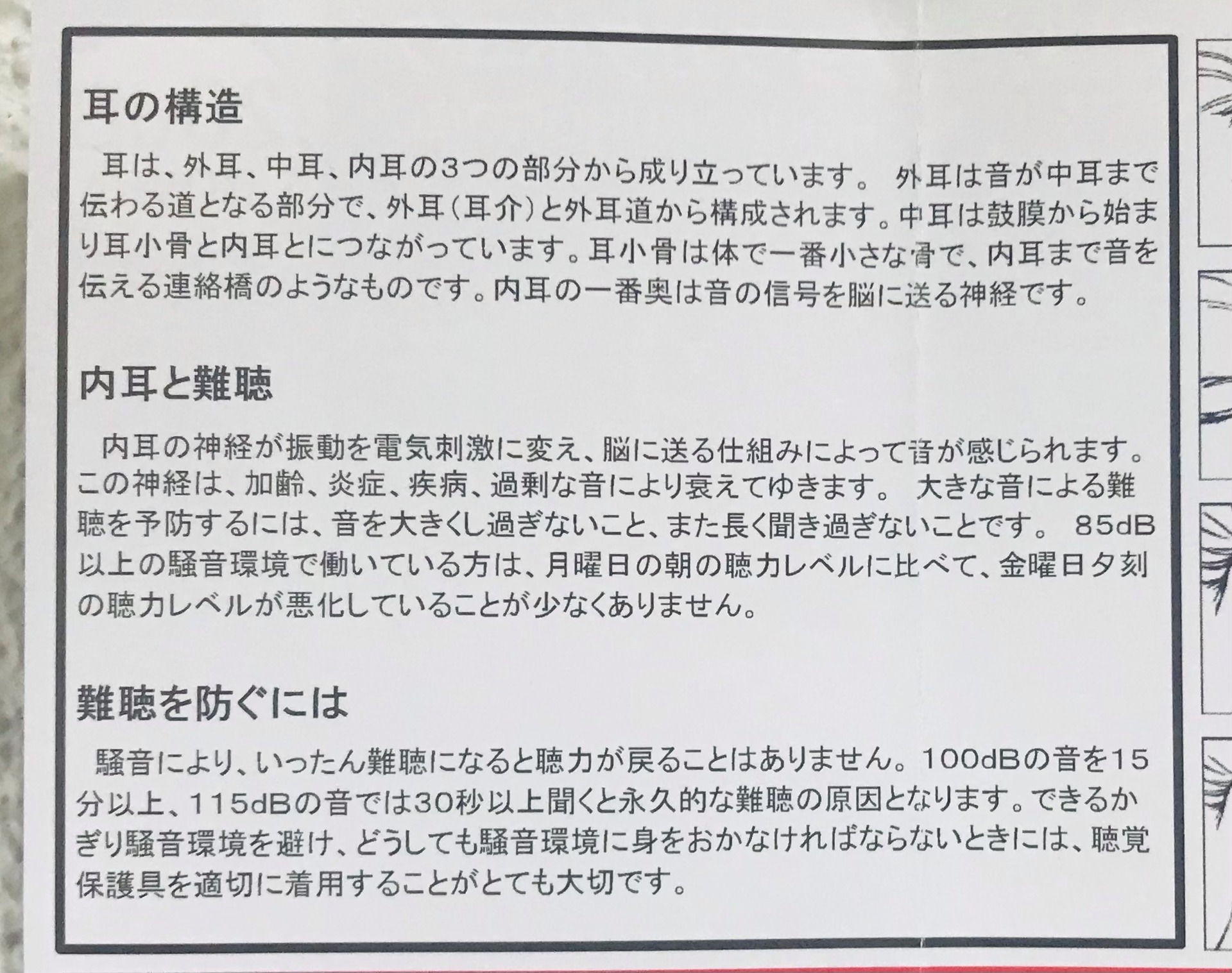 嗚呼、素晴らしき商品！: 聴覚保護具クオリネって実際どうなの？ 聴覚過敏保持者が実際に使ってみた！：レビュー