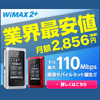 BroadWiMAX.png