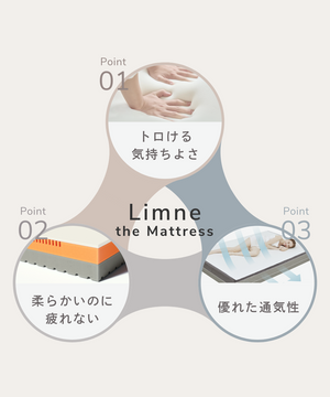 Limne_EC_mattress_3points_SP_300x.png