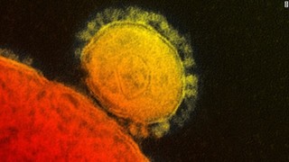 coronavirus-story.jpg